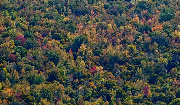 colorview