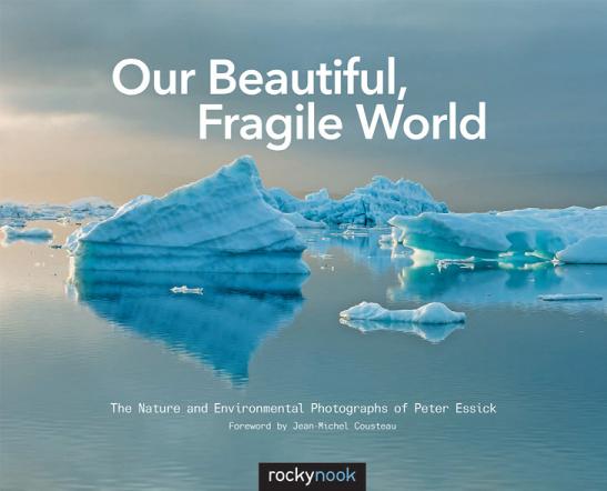 OurBeautifulFragileWorldbookcover