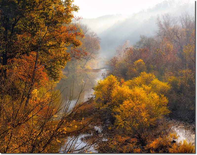 LittleBuffaloColor11142502411x14