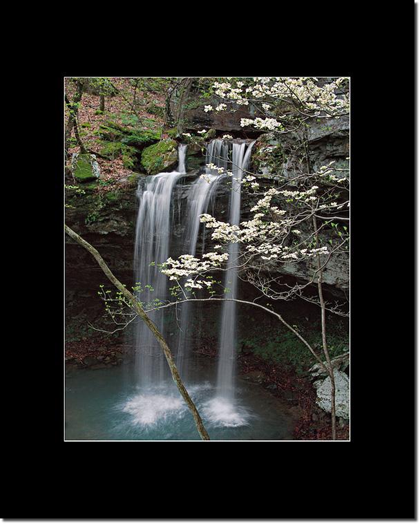 POWApril28DogwoodFallsBM